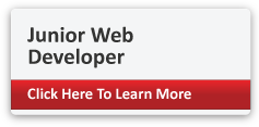 junior web developer