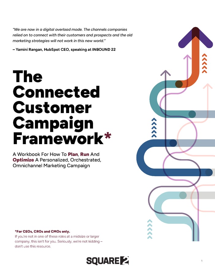 The Connected Customer Campaign Framework cover